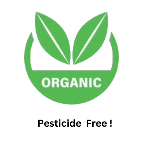 Organic no sprays horseradish